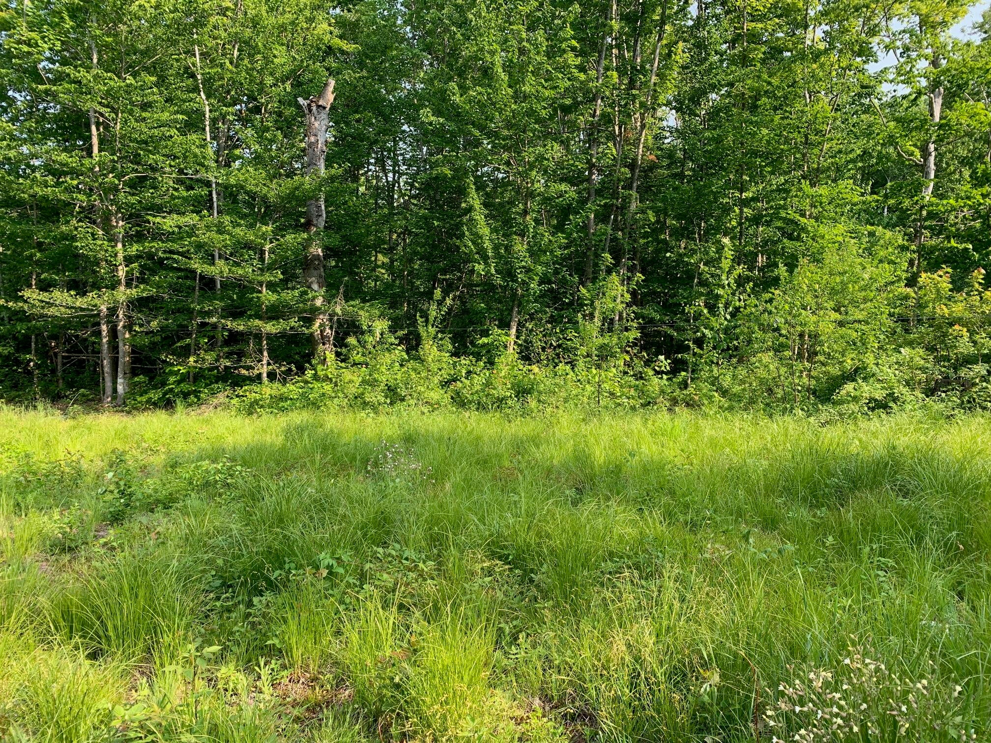 14770 North Maple Block Road Paradise, MI 49768 - Photo 15 of 20 Gallery Image 15