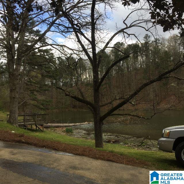946 Cook Springs Road Pell City, AL 35125 - Photo 6 of 7