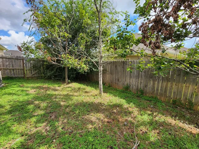 a backyard of a house with lots of plants and tree