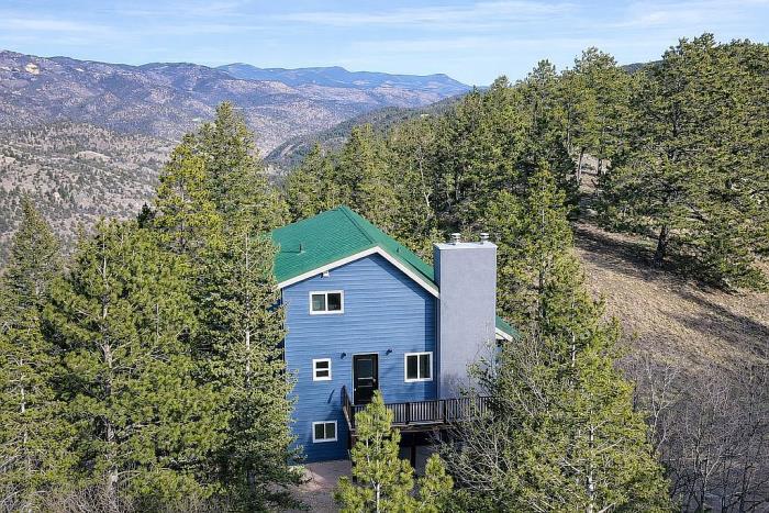 231 Rosebud Road Idaho Springs, CO 80452 - Photo 18 of 36