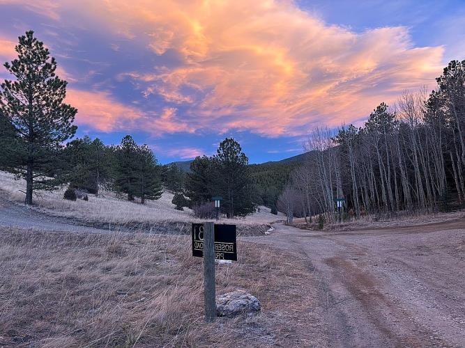 231 Rosebud Road Idaho Springs, CO 80452 - Photo 22 of 36