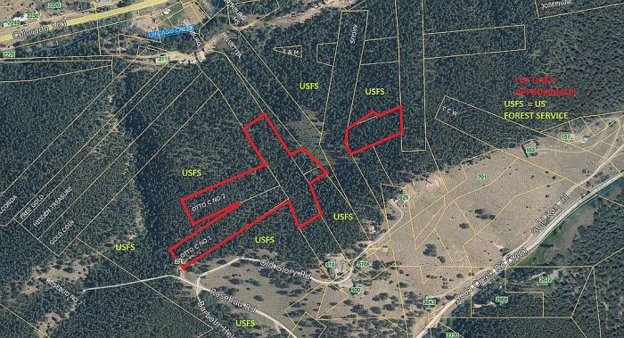 231 Rosebud Road Idaho Springs, CO 80452 - Photo 30 of 36