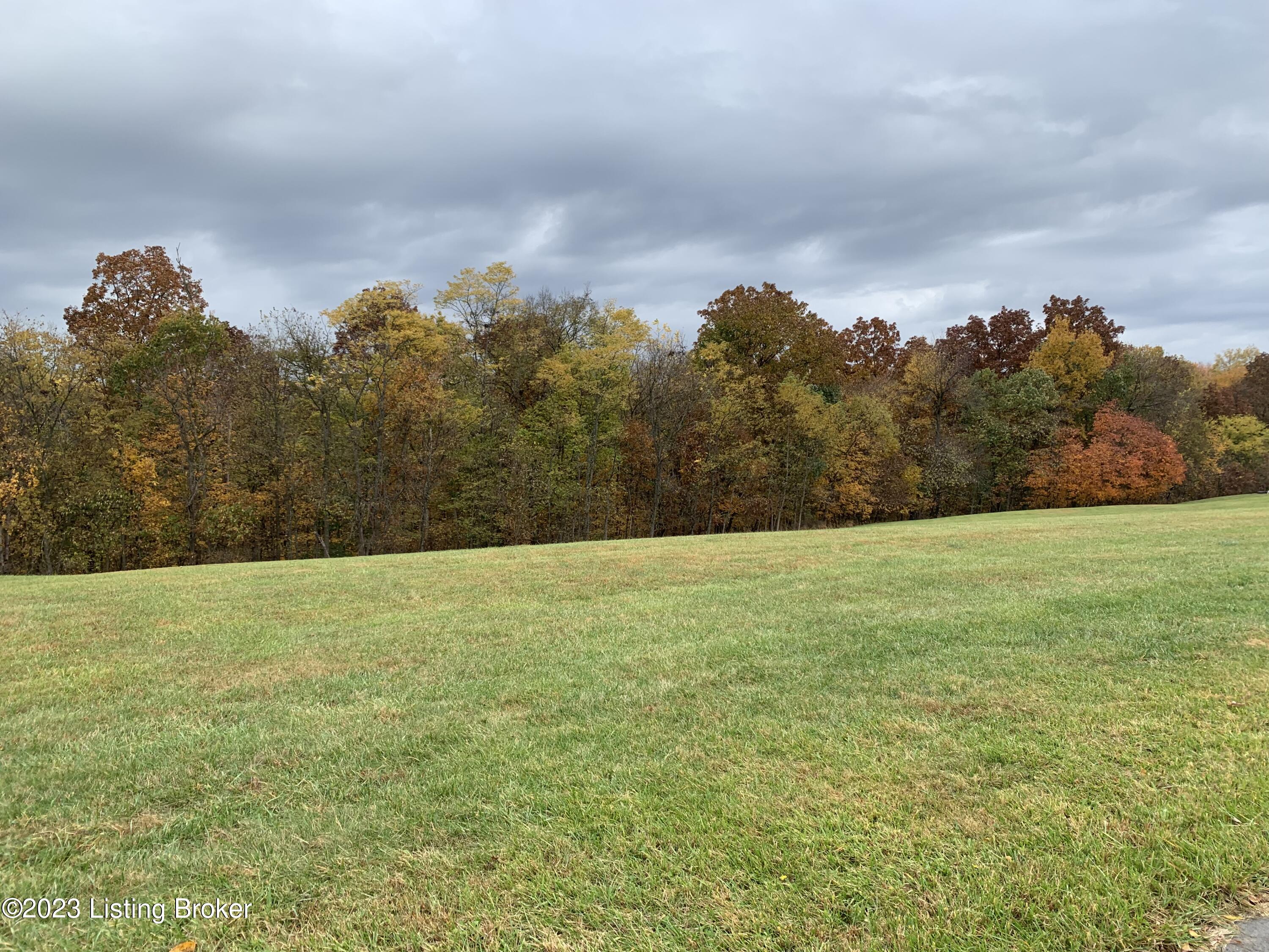 205 Owl Ridge Road Shelbyville, KY 40065 - Photo 2 of 7 IMG_9583