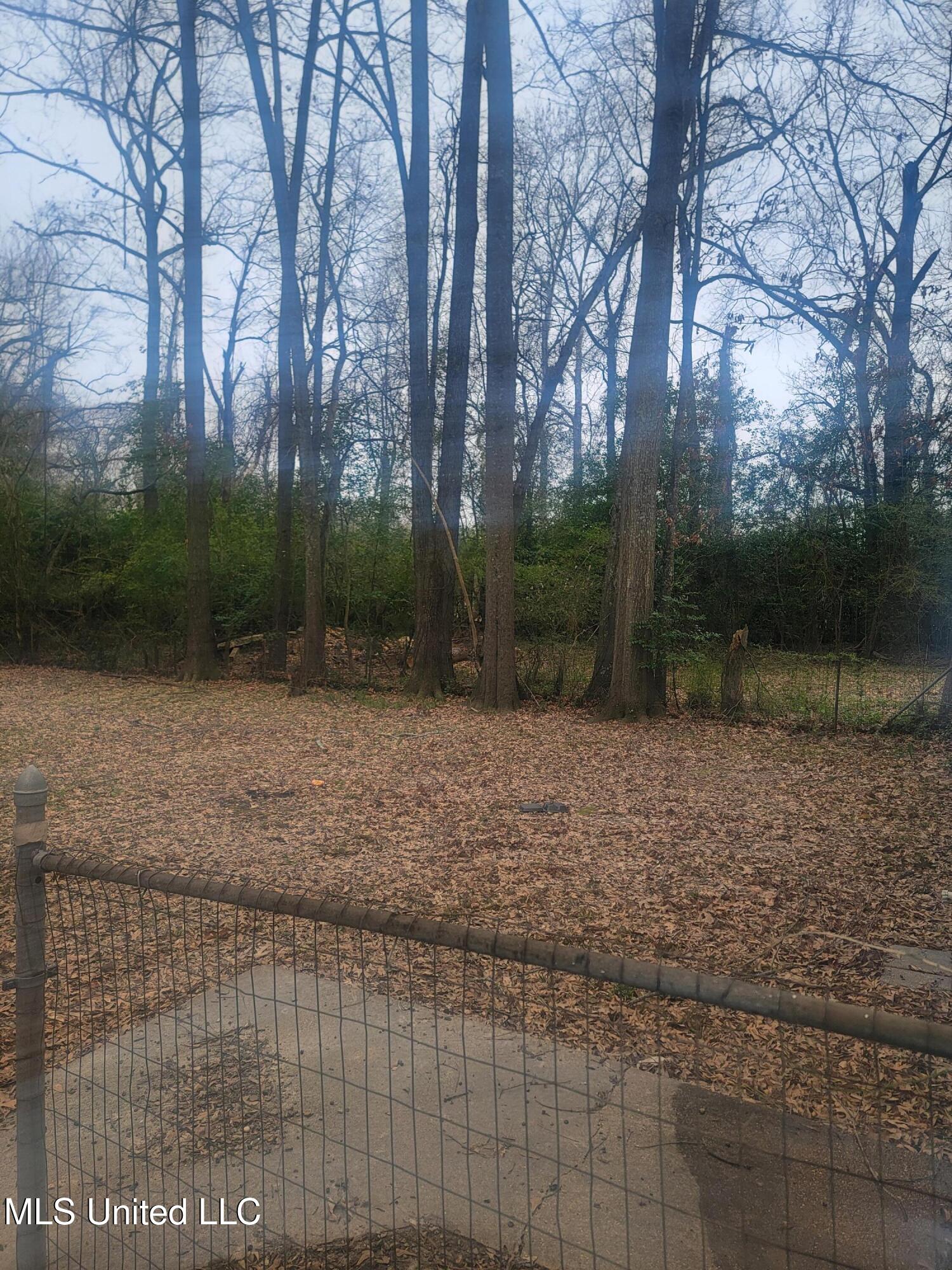 443 Meadowbrook Road Jackson, MS 39206 - Photo 16 of 20 20250222_104130