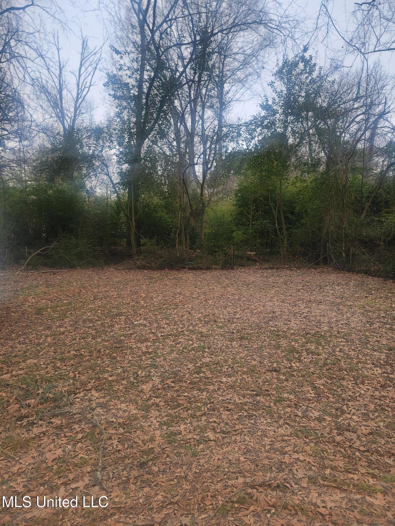 443 Meadowbrook Road Jackson, MS 39206 - Photo 17 of 20 20250222_104139