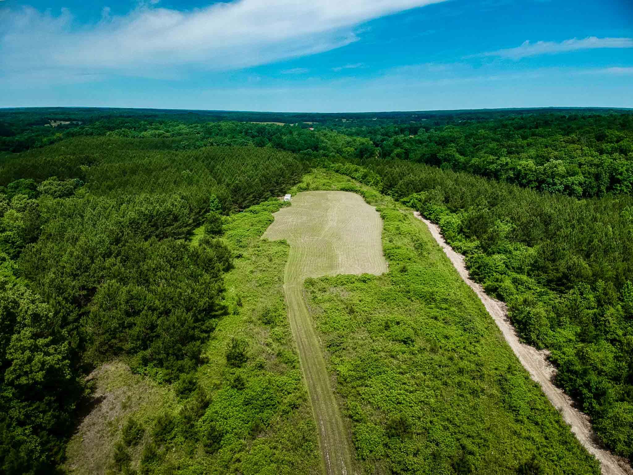 754 Waterloo Road Westpoint, TN 38486 - Photo 3 of 28 a view of a yard