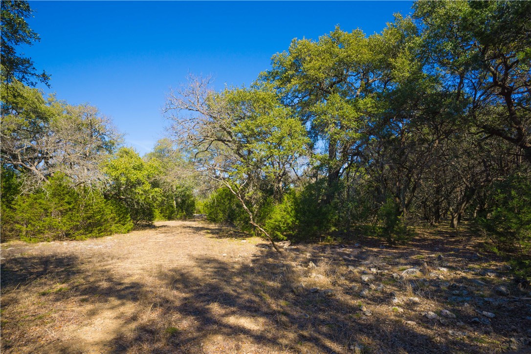 1140 Lightning Ranch Road Georgetown, TX 78628 - Photo 1 of 1 Gallery Image 1