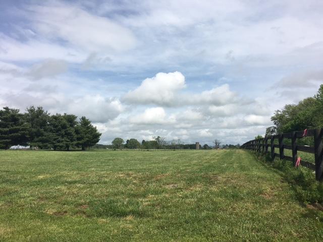 885 Duckers Road, Unit LOT 5 Midway, KY 40347 - Photo 2 of 2 IMG_8473 (5)