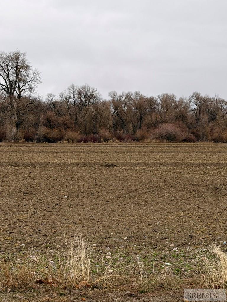 530 East 530 North Rigby, ID 83442 - Photo 4 of 5