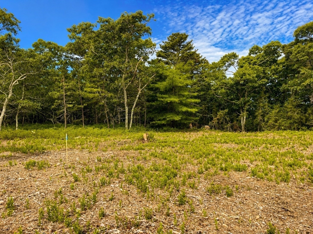 27 Double Ox Road Oak Bluffs, MA 02557 - Photo 7 of 12