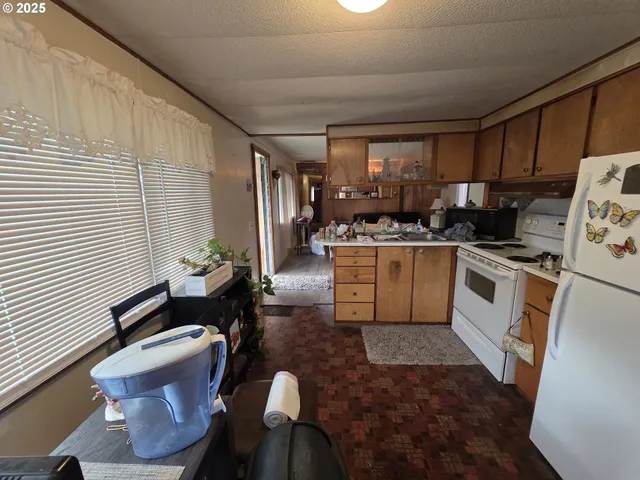 a view of a back yard of the house