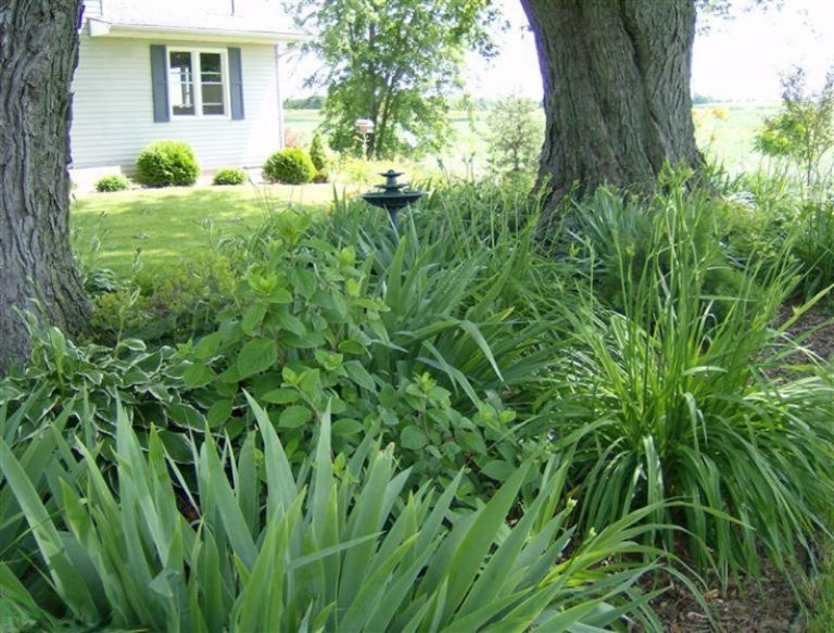 10626 Vedder Road Freeport, MI 49325 - Photo 22 of 24 Additional Photo