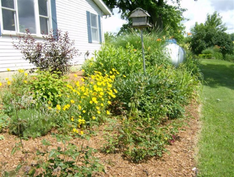 10626 Vedder Road Freeport, MI 49325 - Photo 24 of 24 Additional Photo