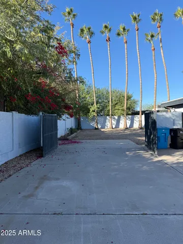 a view of a street with tall trees