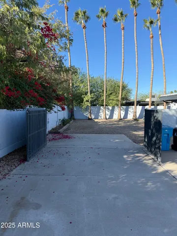a row of palm trees and covered with wooden fence