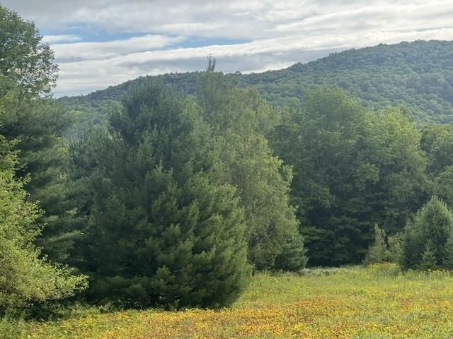 Shadow Lake Road Glover, VT 05839 - Photo 6 of 18 Gallery Image 6