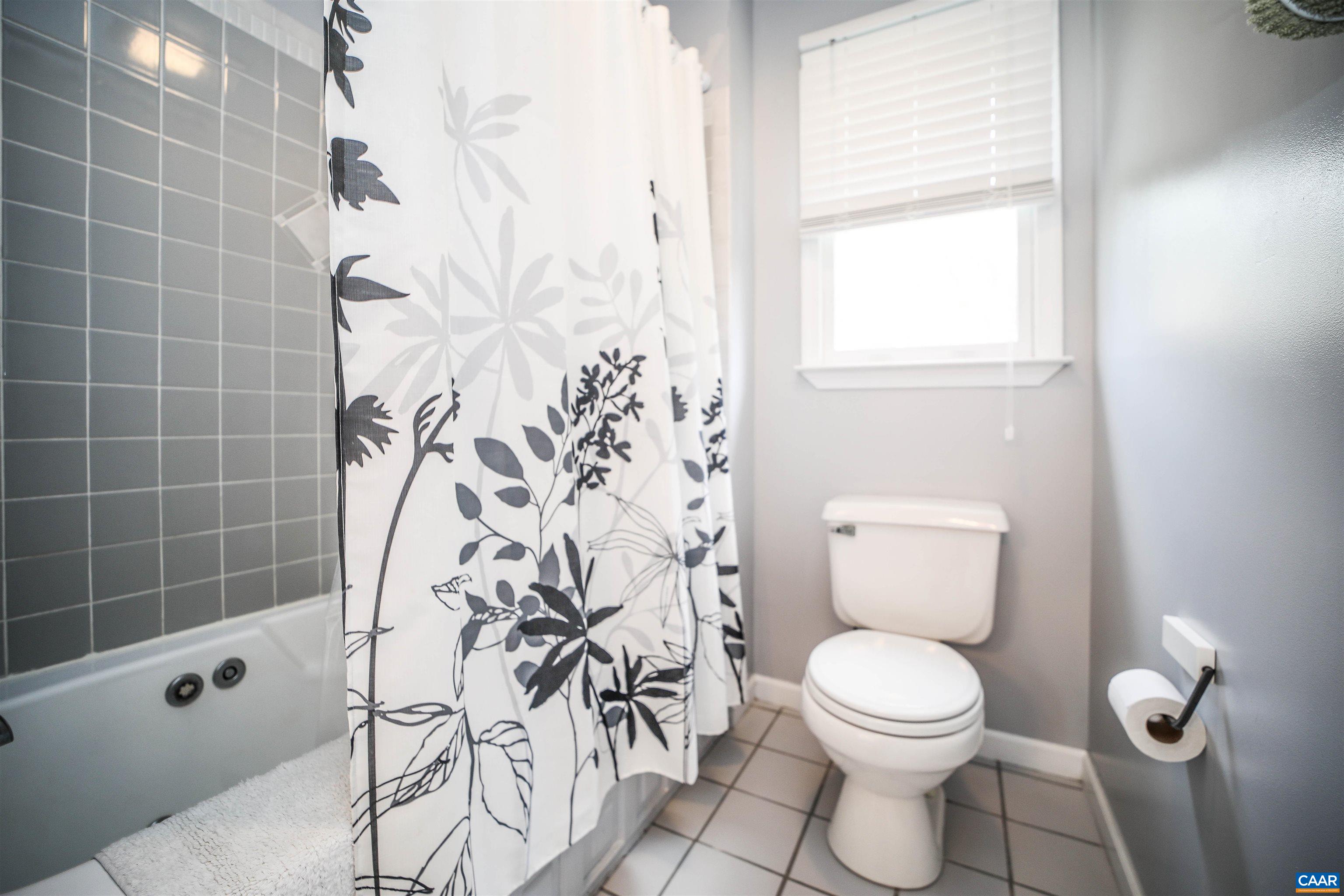 325 Union Run Lexington, VA 24450 - Photo 42 of 56 a bathroom with a toilet and a shower