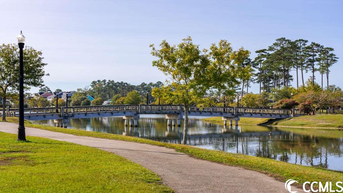 2454 Polaris Path Myrtle Beach, SC 29577 - Photo 29 of 33