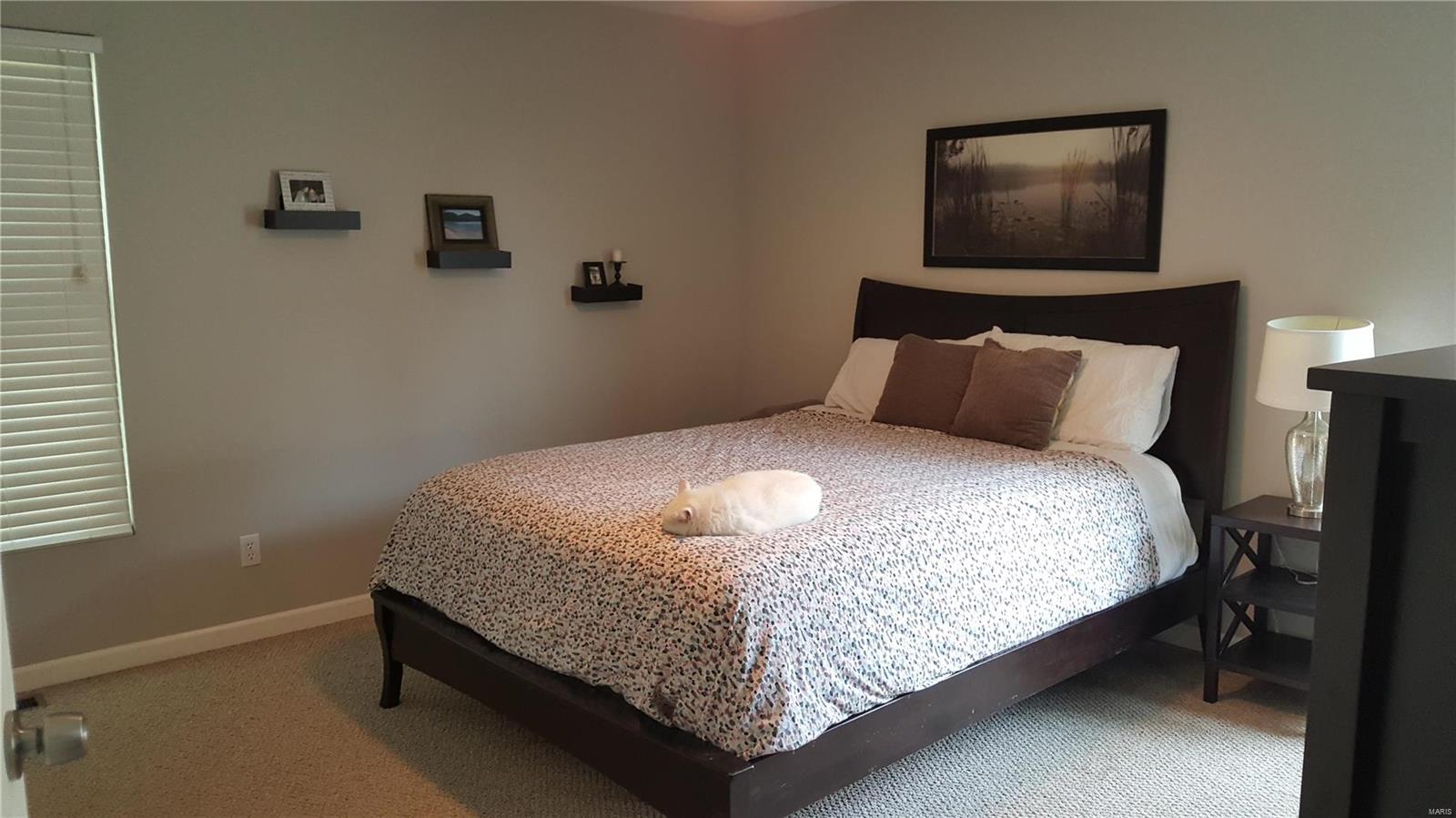 8292 Highway 159 Dorsey, IL 62021 - Photo 13 of 30 Gallery Image 13