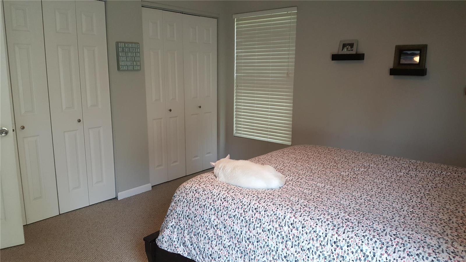 8292 Highway 159 Dorsey, IL 62021 - Photo 14 of 30 Gallery Image 14