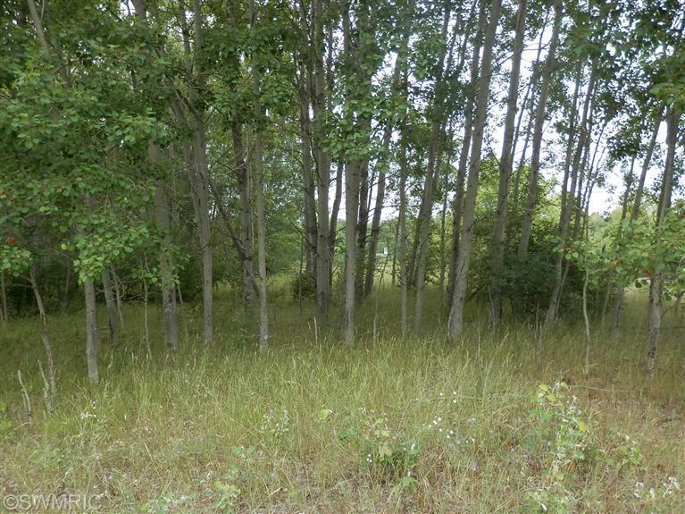 2107 Ellis Road Frankfort, MI 49635 - Photo 11 of 24 Additional Photo