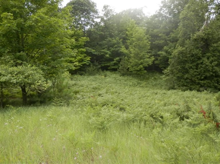2107 Ellis Road Frankfort, MI 49635 - Photo 12 of 24 Additional Photo