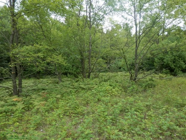 2107 Ellis Road Frankfort, MI 49635 - Photo 13 of 24 Additional Photo