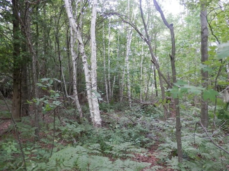 2107 Ellis Road Frankfort, MI 49635 - Photo 14 of 24 Additional Photo