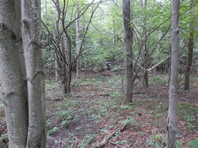 2107 Ellis Road Frankfort, MI 49635 - Photo 15 of 24 Additional Photo