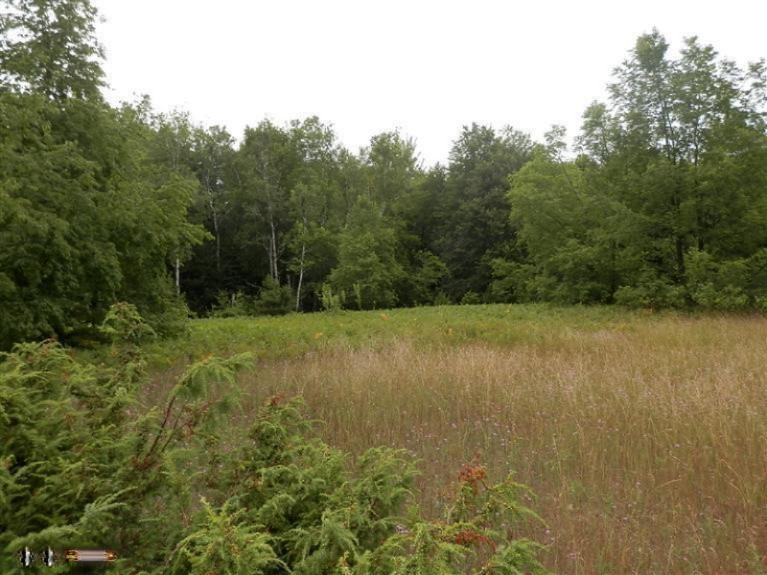 2107 Ellis Road Frankfort, MI 49635 - Photo 19 of 24 Additional Photo