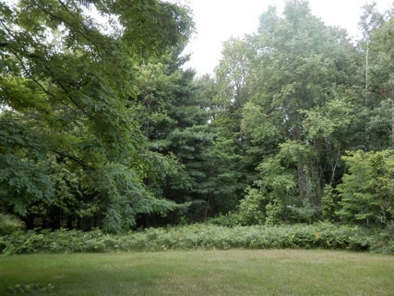2107 Ellis Road Frankfort, MI 49635 - Photo 6 of 24 Additional Photo