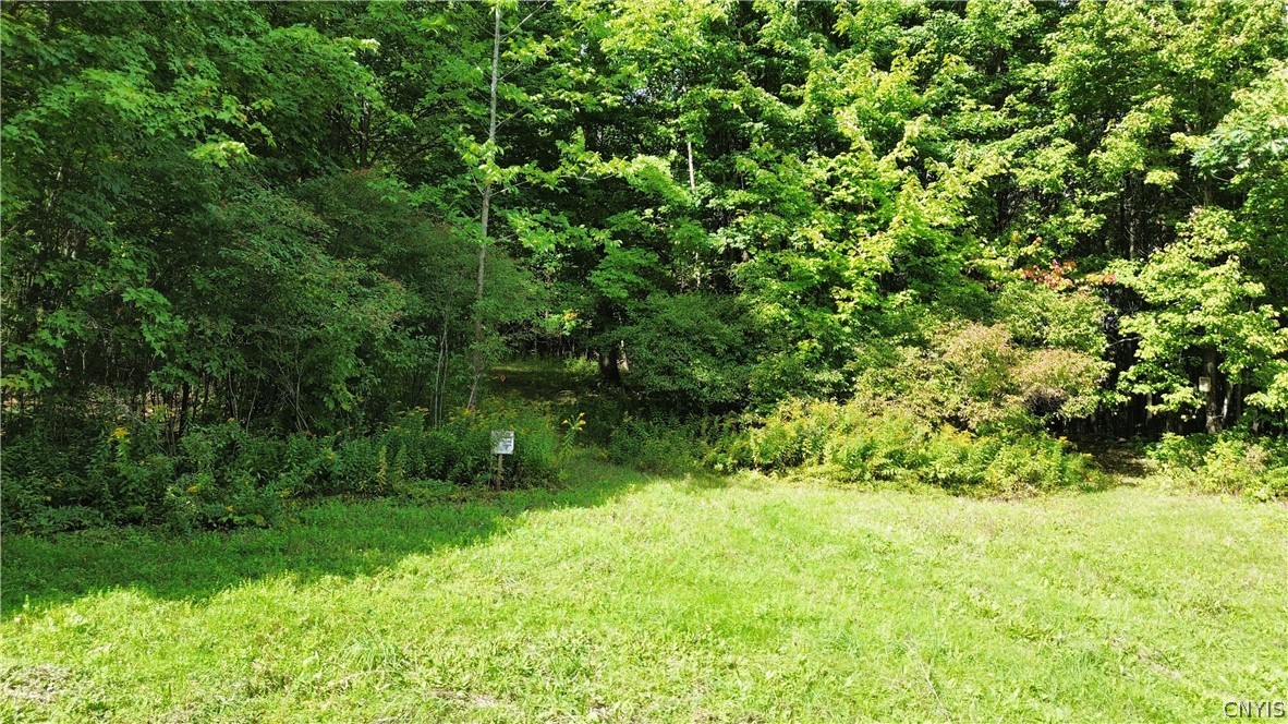 Lot 21 Buddle Road Richfield Springs, NY 13439 - Photo 5 of 21 Gallery Image 5