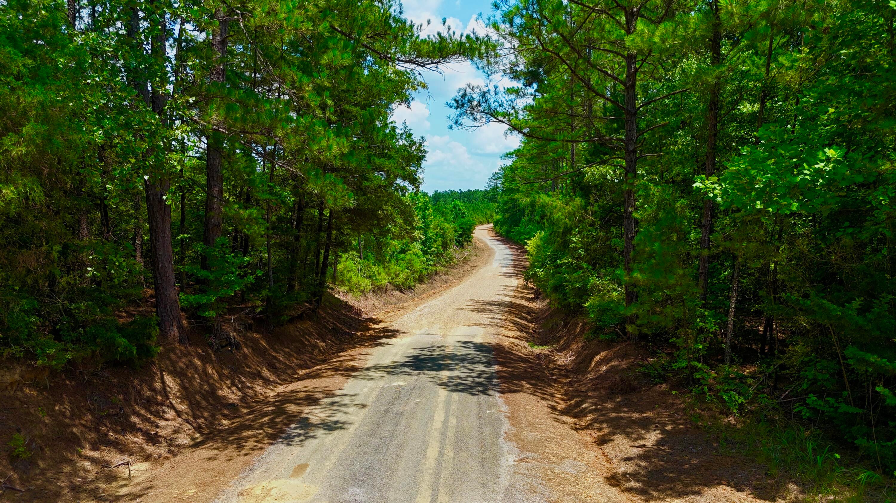 Lot 6 Old Morris Road Eupora, MS 39744 - Photo 16 of 23 Gallery Image 16