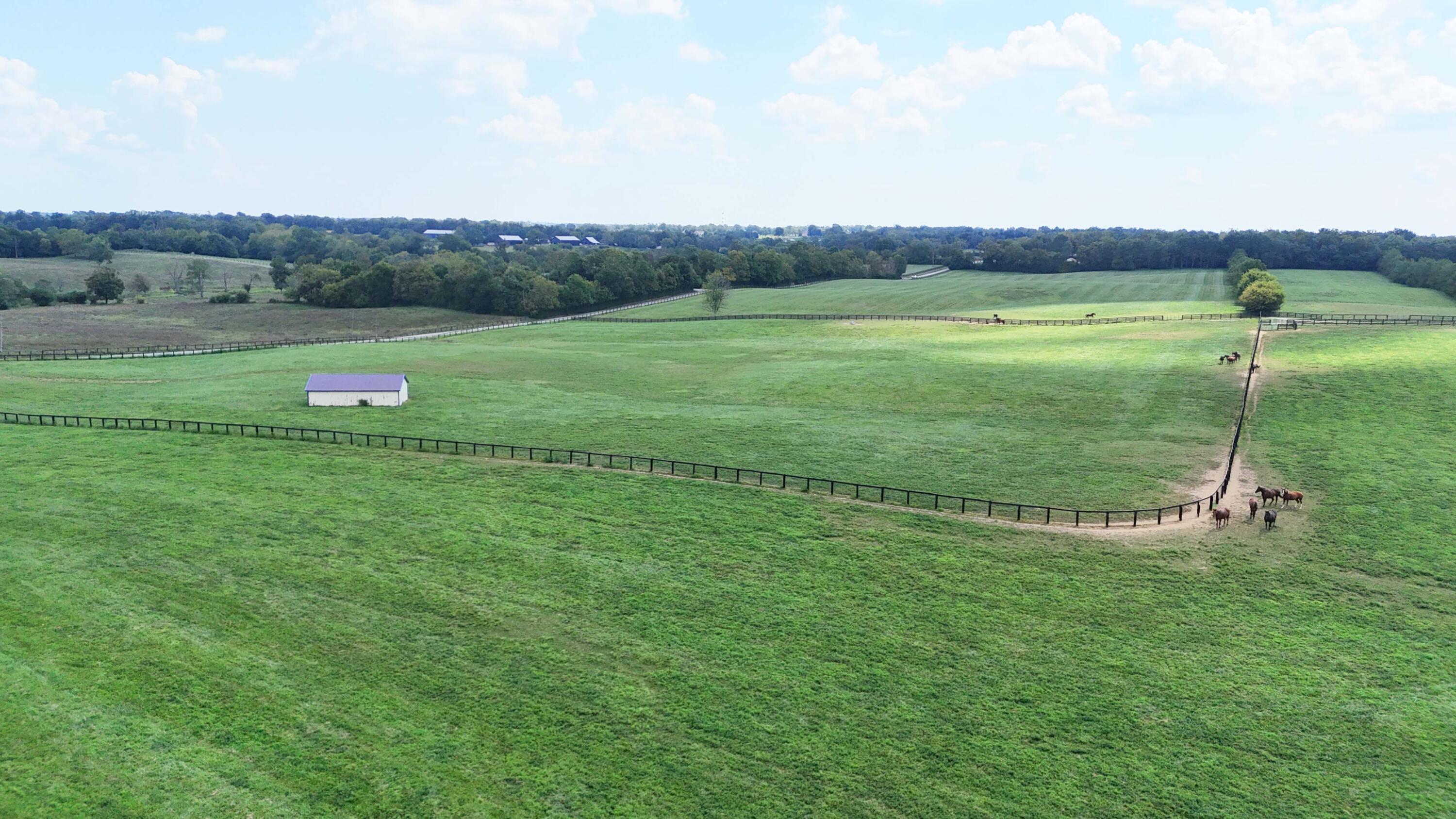 3469 Winchester Road Lexington, KY 40509 - Photo 71 of 86 51