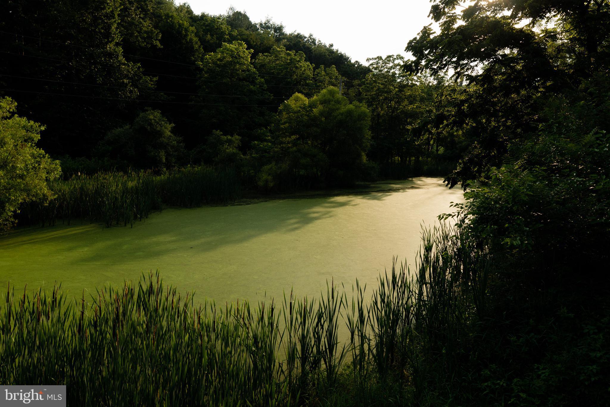 333 New Bethel Church Road Kempton, PA 19529 - Photo 3 of 48 a view of lake with green space