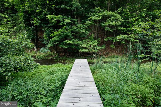 a view of a garden with plants
