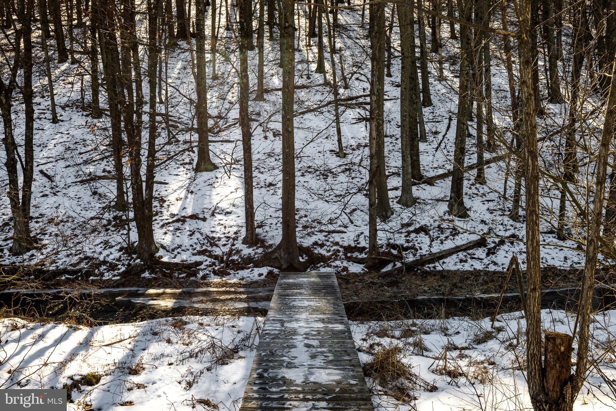 333 New Bethel Church Road Kempton, PA 19529 - Photo 8 of 48 a view of water with water fall