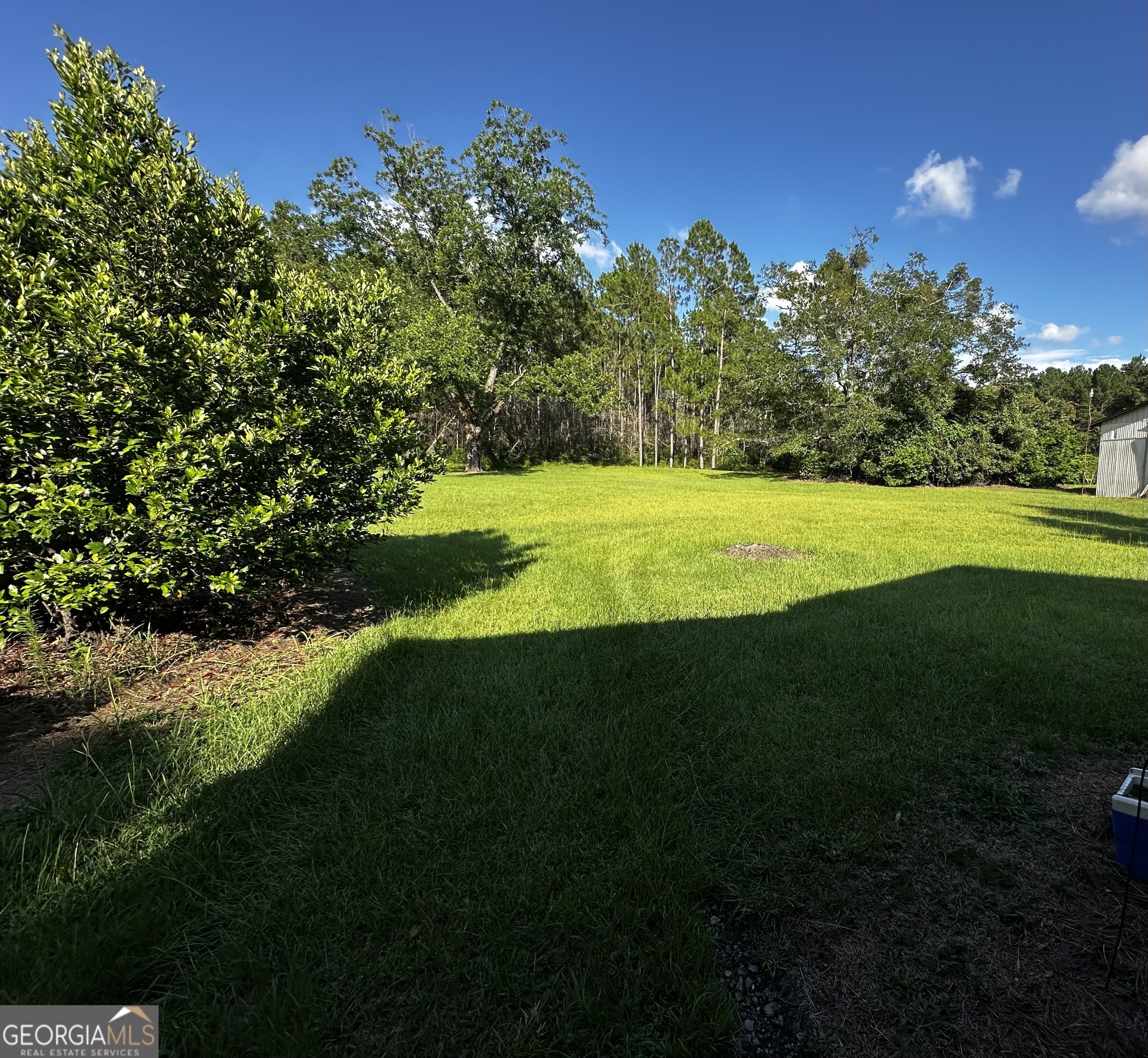 45 Mt Zion Street Milan, GA 31060 - Photo 3 of 27 a view of a golf course with a lake