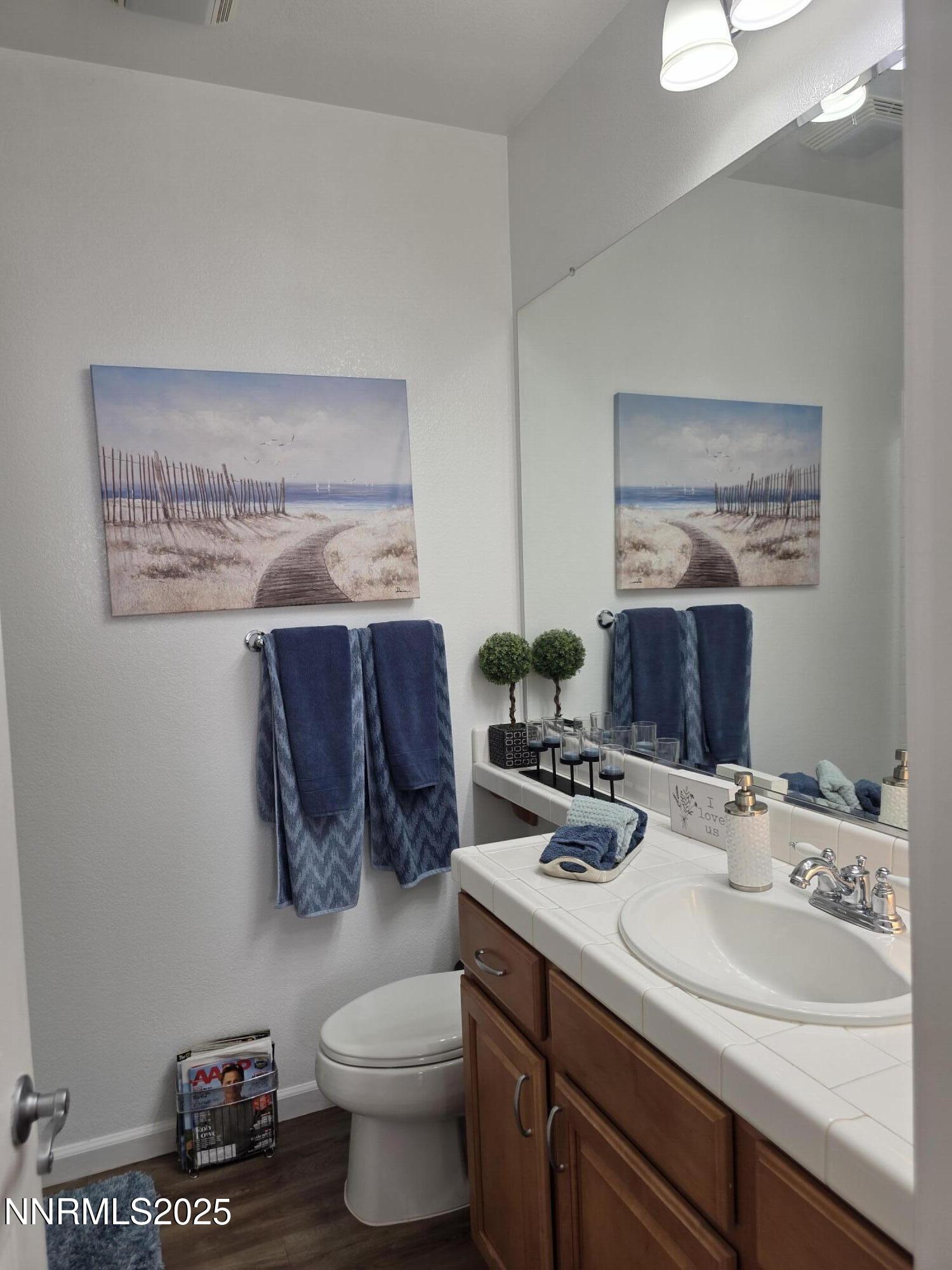 10677 Fire Poppy Circle Reno, NV 89521 - Photo 20 of 45 a bathroom with a sink and a toilet