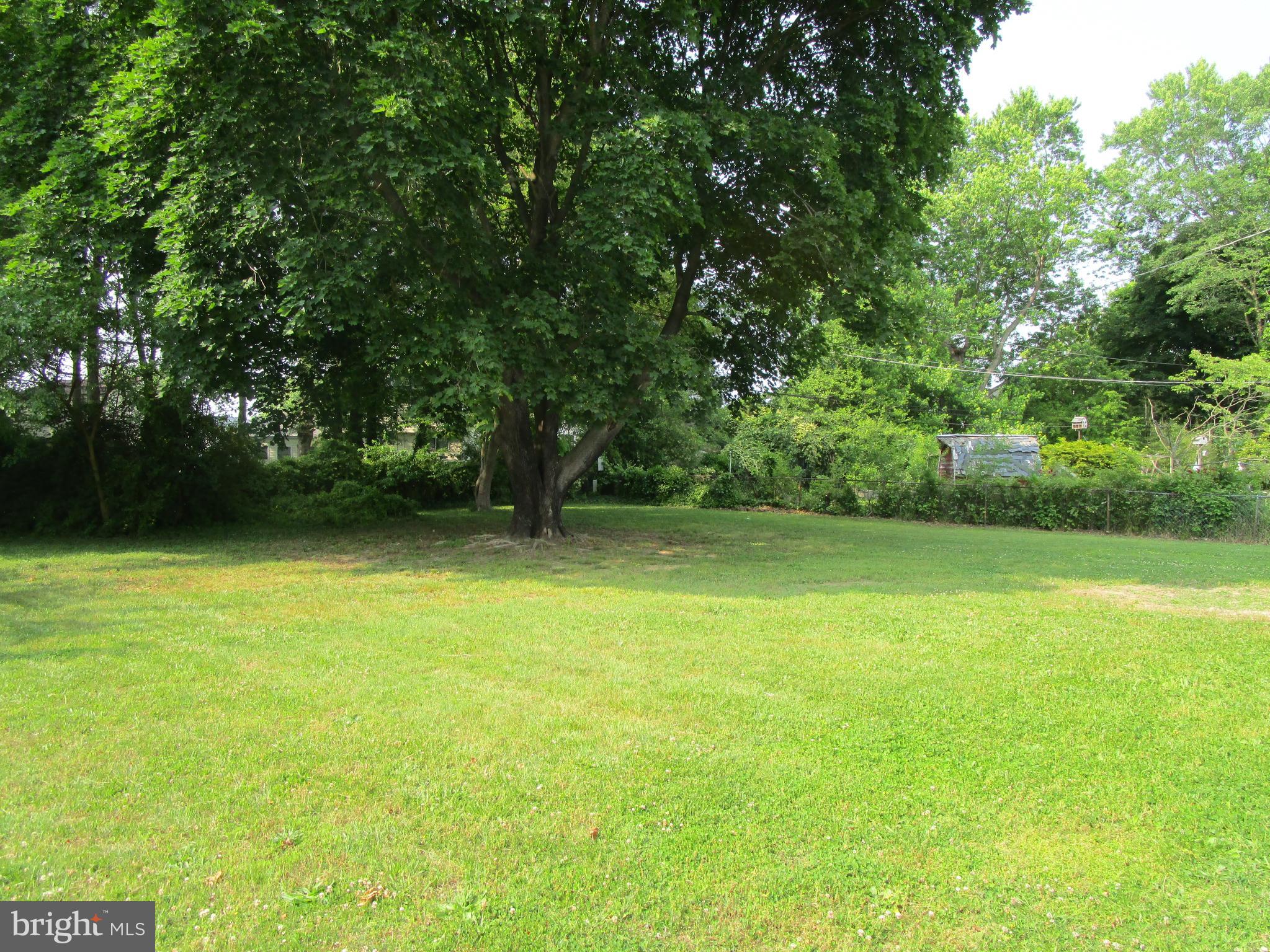 791 Miller Drive Dover, DE 19901 - Photo 8 of 35 Open Space