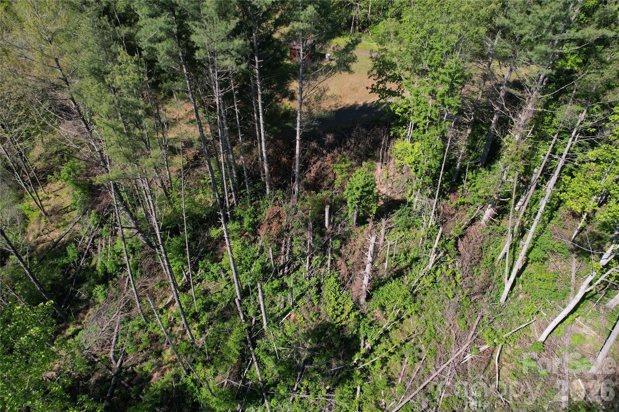 0 River Rock Road Warrensville, NC 28693 - Photo 6 of 15