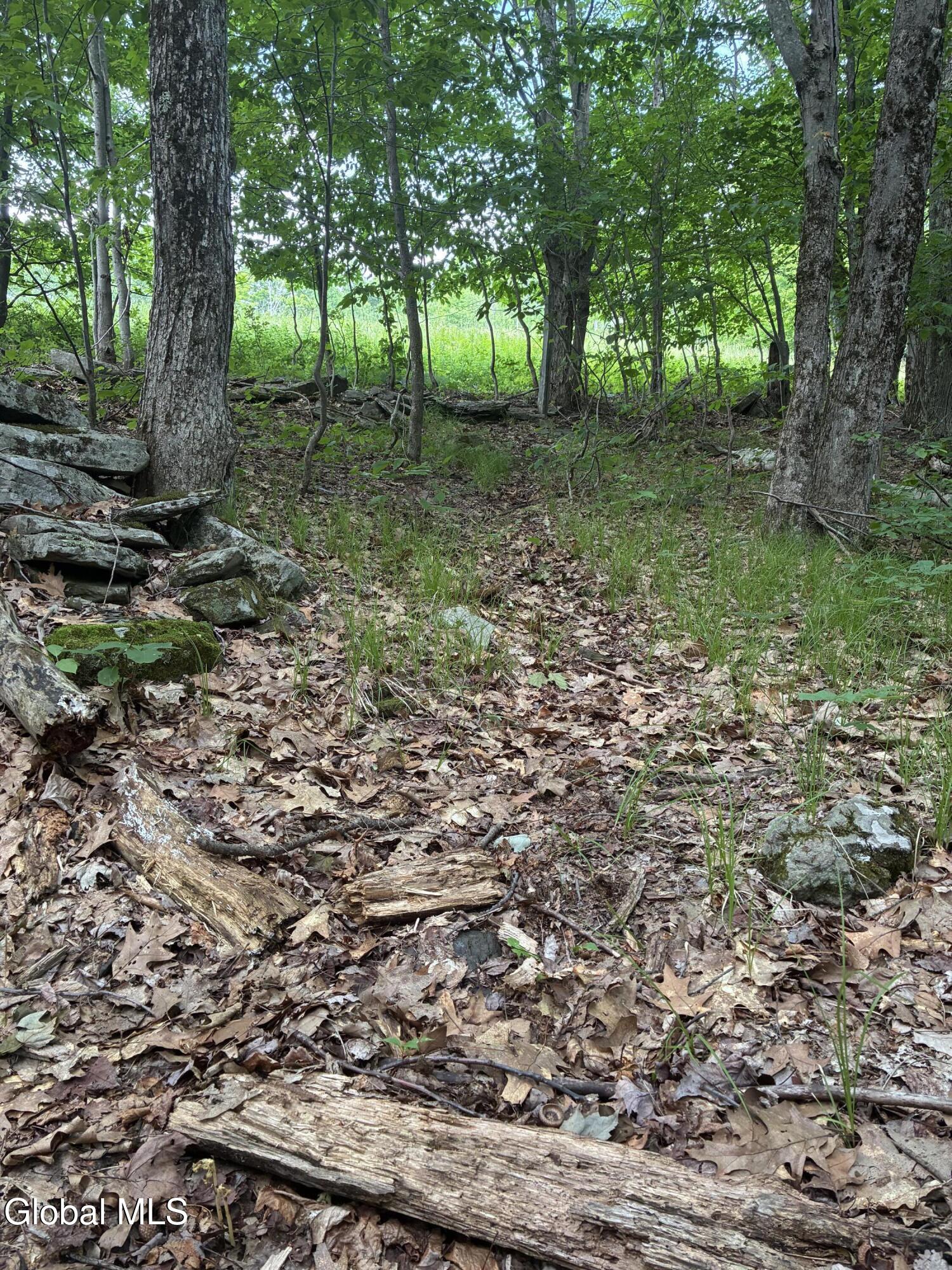 0 Debar Hill Road Middleburgh, NY 12122 - Photo 13 of 18 IMG_1854