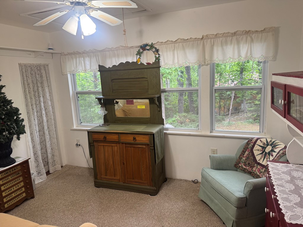 210 Holly Ridge Lane Murphy, NC 28906 - Photo 13 of 32