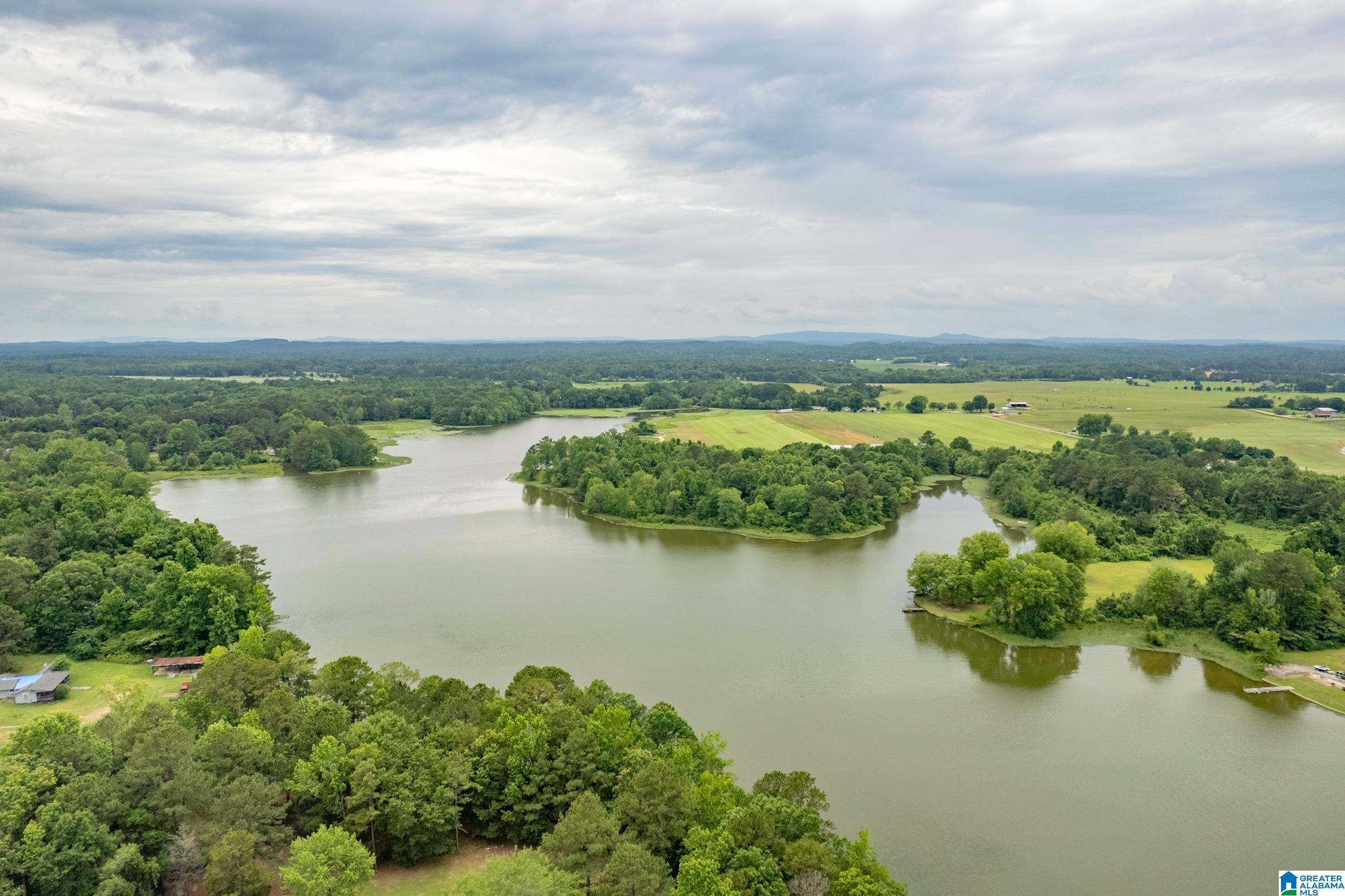 43 Church Road Pell City, AL 35128 - Photo 8 of 49
