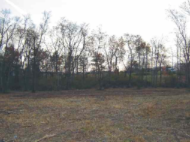 Lot 12 Pineland Meadows Road Belton, SC 29627 - Photo 3 of 8