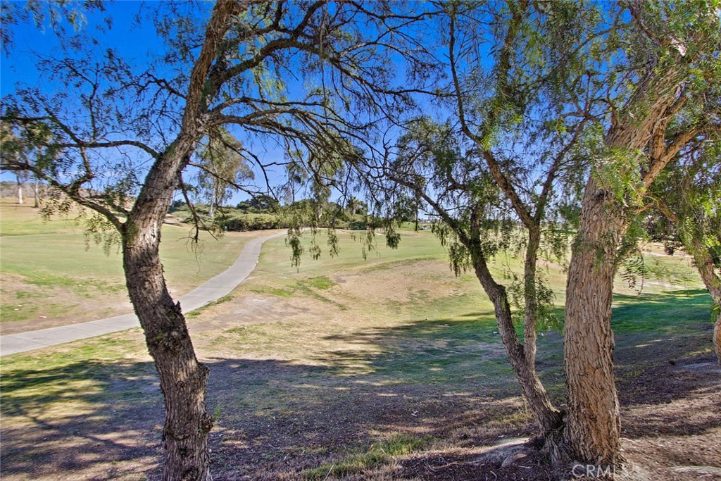 22 Paseo Verde San Clemente, CA 92673 - Photo 18 of 41