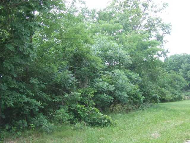 1850 Wheeler Road Dunlap, TN 37327 - Photo 3 of 6 Additional Photo