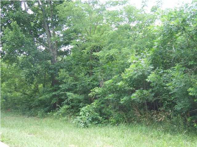 1850 Wheeler Road Dunlap, TN 37327 - Photo 4 of 6 Additional Photo
