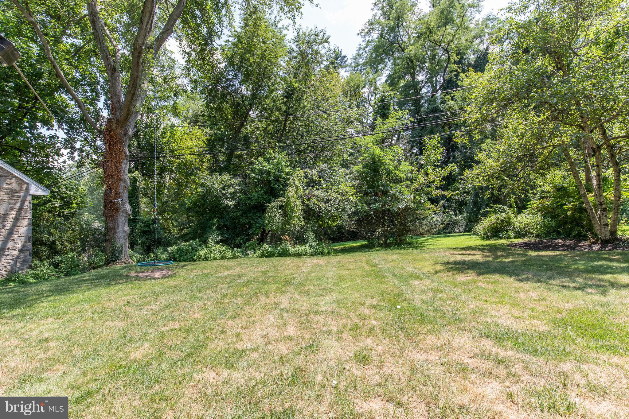 232 Summit Road Springfield, PA 19064 - Photo 35 of 37 Mature Trees