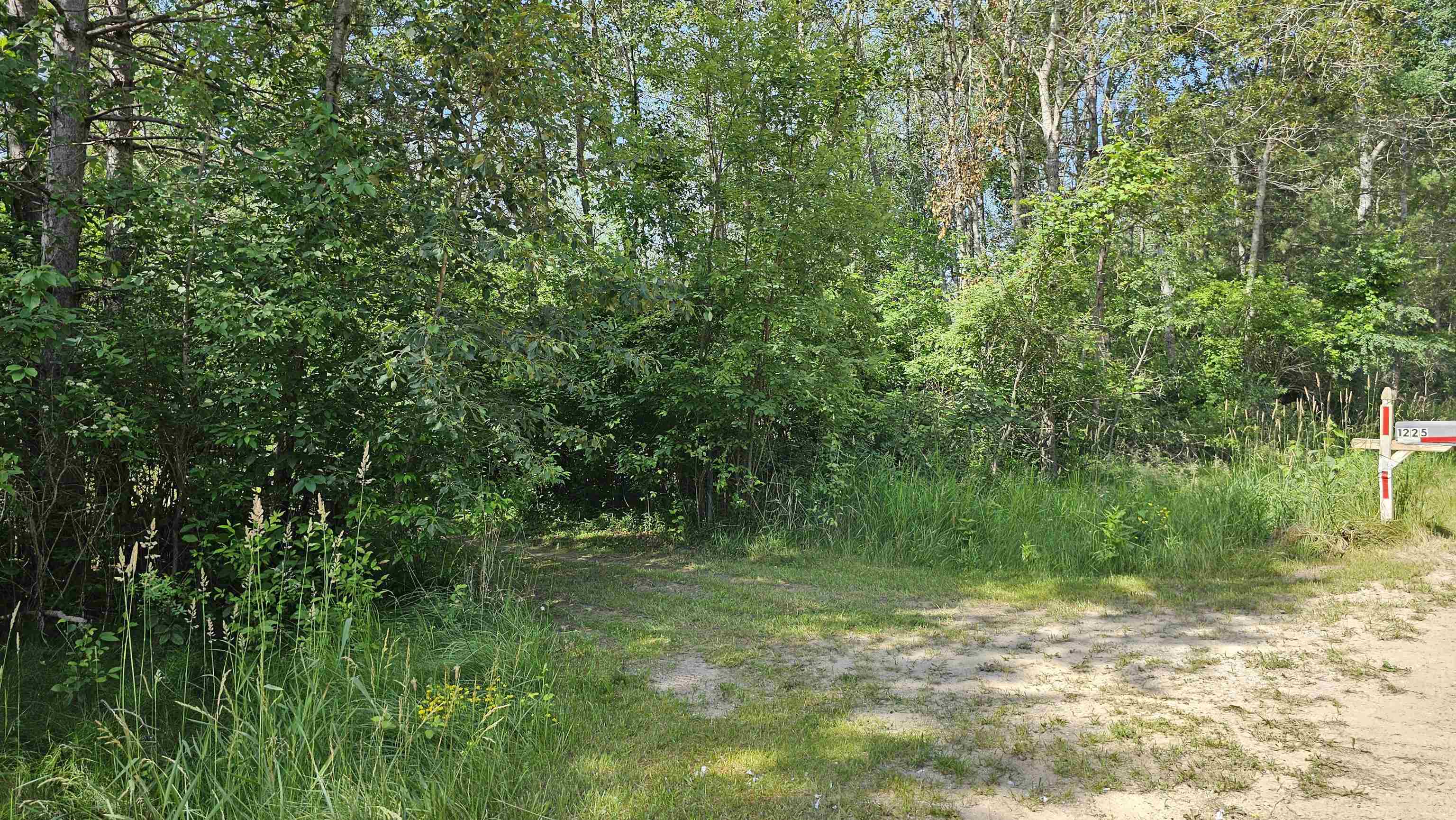 1225 West Sun Oil Road Gladwin, MI 48624 - Photo 3 of 46